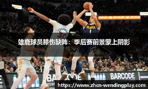 雄鹿球员膝伤缺阵：季后赛前景蒙上阴影