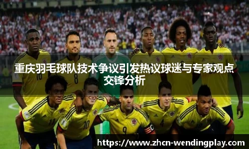 重庆羽毛球队技术争议引发热议球迷与专家观点交锋分析