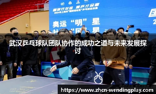 武汉乒乓球队团队协作的成功之道与未来发展探讨